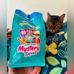 COPY - DISNEY 5” mystery scented squishmallow